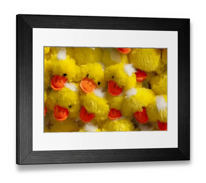 Framed Print : USA, North America, Indiana