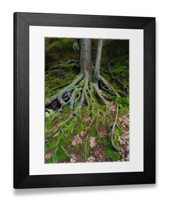 Framed Print : USA, North America, Indiana Framed Print : USA, North America, Indiana