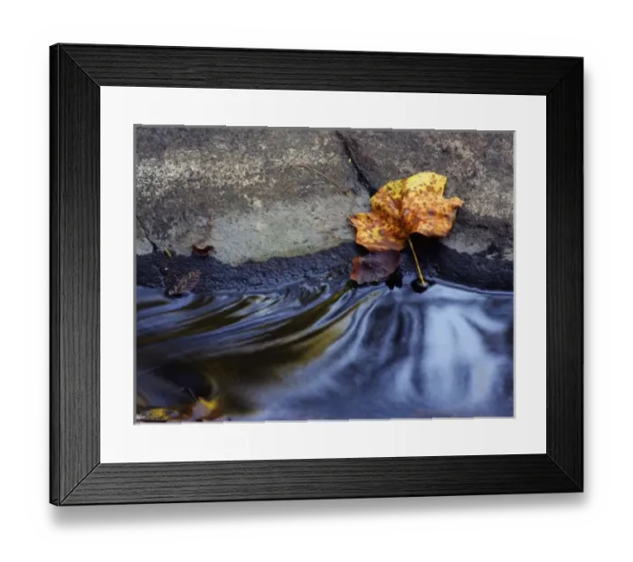 Framed Print : USA, Indiana, Turkey Run State Park in the fall Framed Print : USA, Indiana, Turkey Run State Park in the fall