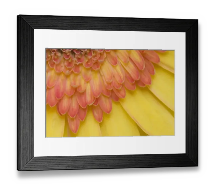Framed Print : USA, North America, Maine