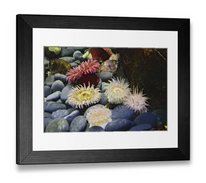 Framed Print : USA, North America, Kentucky Framed Print : USA, North America, Kentucky