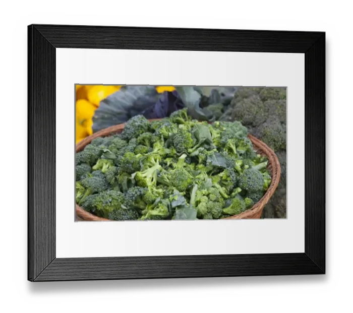 Framed Print : USA, North America, Montana Framed Print : USA, North America, Montana
