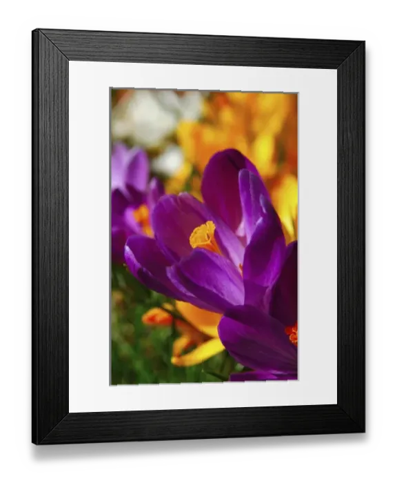 Framed Print : USA, North America, Massachusetts Framed Print : USA, North America, Massachusetts