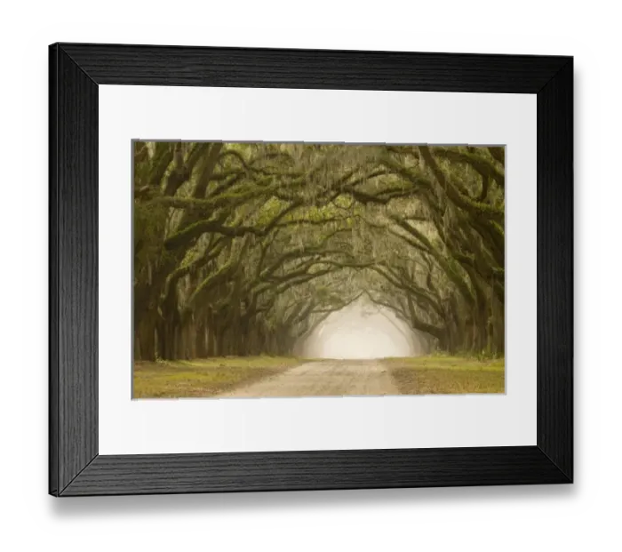 Framed Print : USA, North America, Georgia Framed Print : USA, North America, Georgia