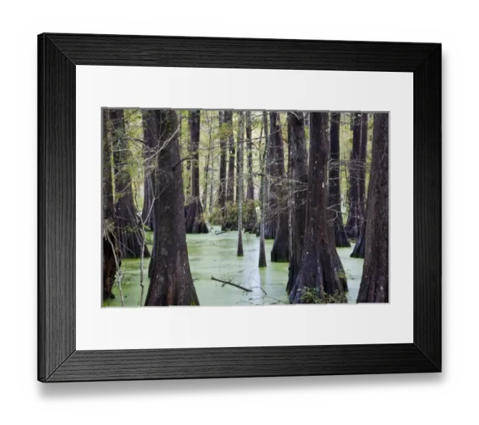 Framed Print : USA, North America, Louisiana Framed Print : USA, North America, Louisiana