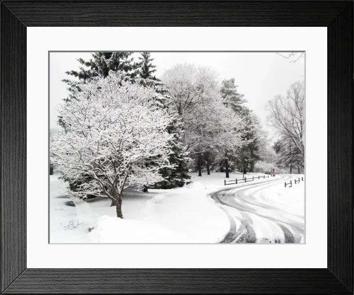 Framed Print : Snowy lane, rail fence, snow covered trees Framed Print : Snowy lane, rail fence, snow covered trees
