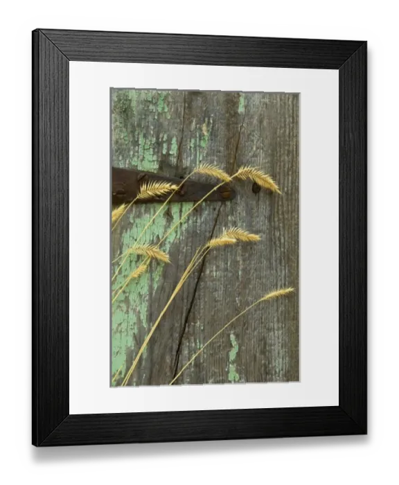 Framed Print : USA, North America, Montana