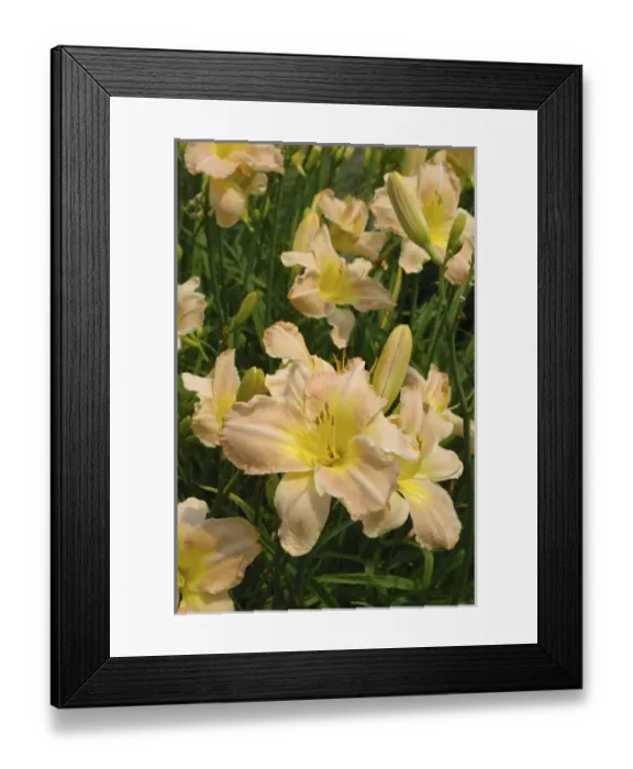 Framed Print : USA, North America, Massachusetts