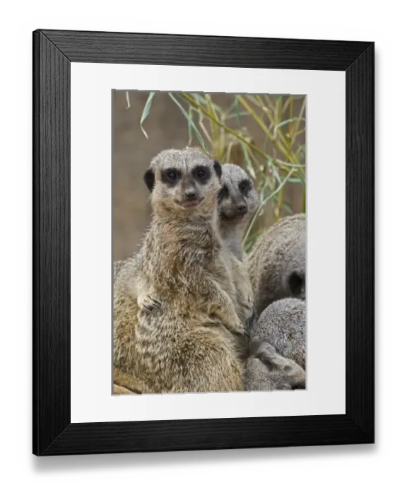 Framed Print : USA, North America, Kentucky Framed Print : USA, North America, Kentucky