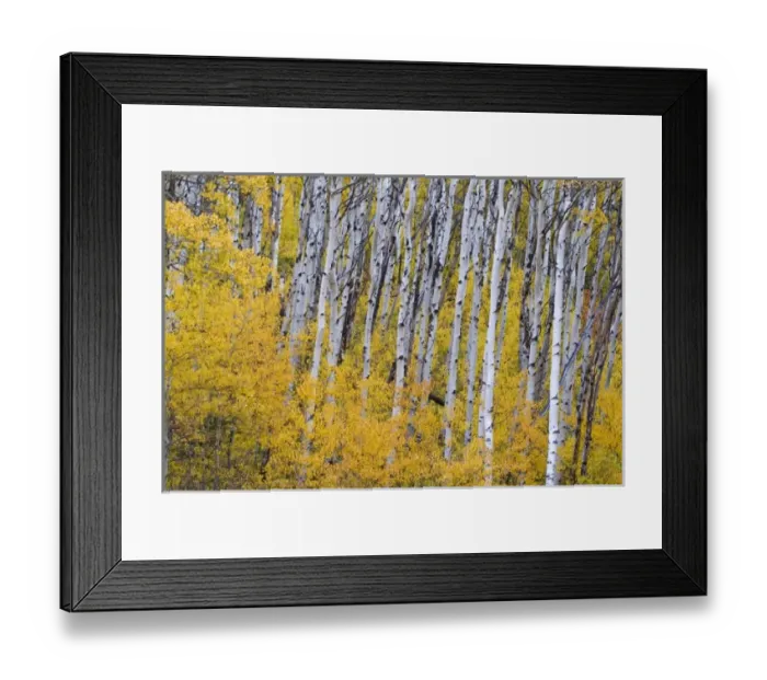 Framed Print : USA, North America, Montana