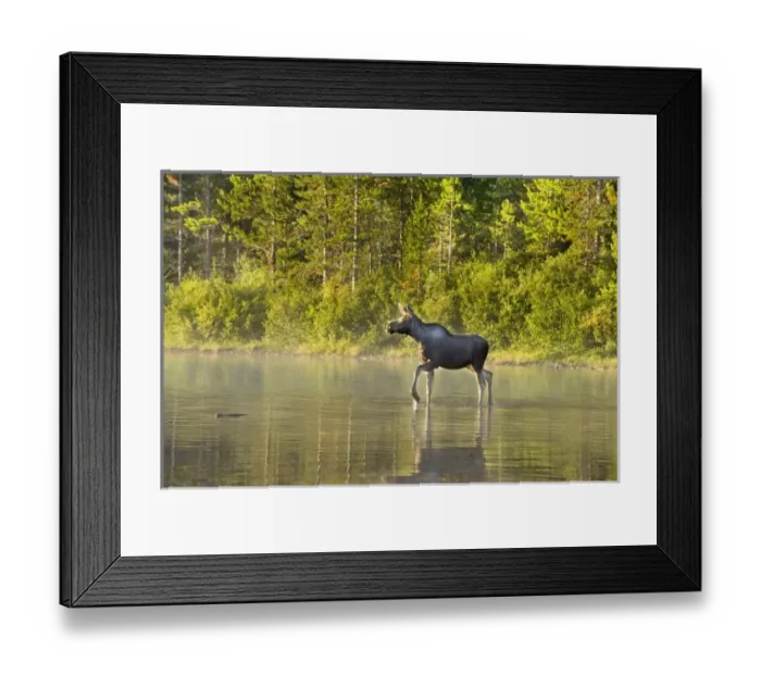 Framed Print : USA, North America, Montana Framed Print : USA, North America, Montana