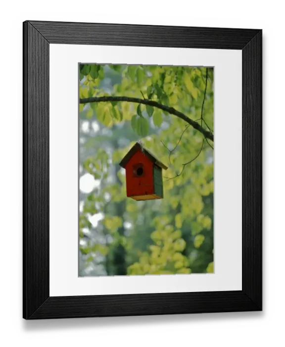 Framed Print : USA, North America, Georgia Framed Print : USA, North America, Georgia
