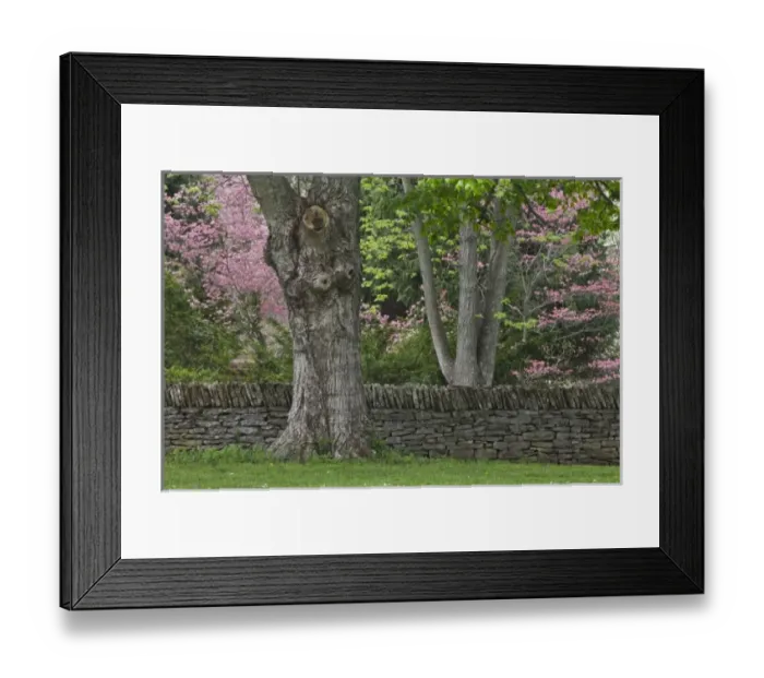 Framed Print : USA, North America, Kentucky Framed Print : USA, North America, Kentucky