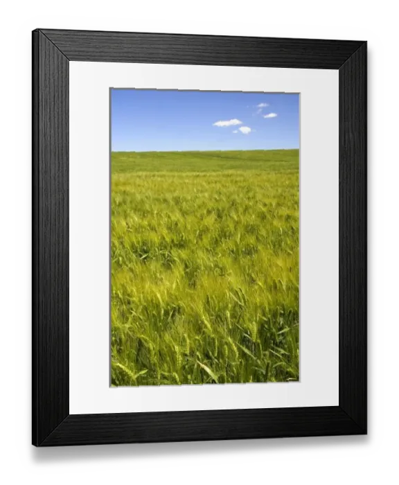 Framed Print : USA, North America, Idaho Framed Print : USA, North America, Idaho