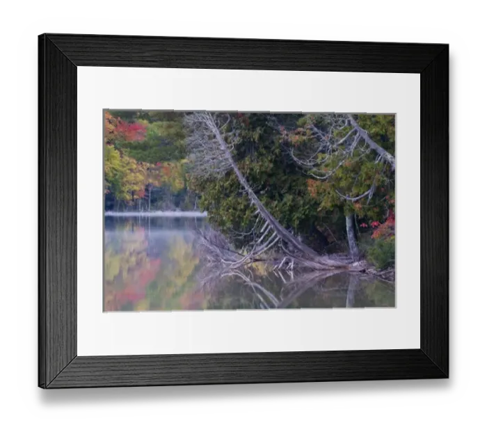 Framed Print : USA, Michigan, Upper Peninsula. Petes Lake reflects autumn foliage and dead tree Framed Print : USA, Michigan, Upper Peninsula. Petes Lake reflects autumn foliage and dead tree