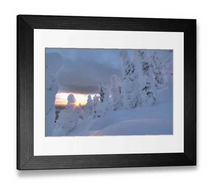 Framed Print : Snowghosts at sunset at Whitefish Mountain Resort in Montana Framed Print : Snowghosts at sunset at Whitefish Mountain Resort in Montana