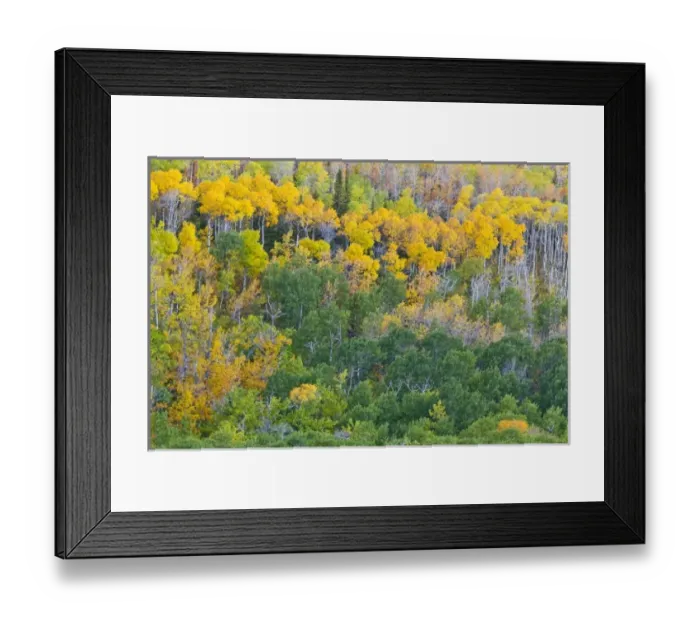 Framed Print : USA, North America, Montana Framed Print : USA, North America, Montana