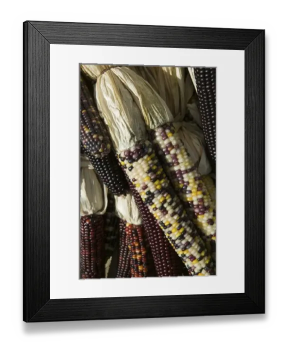 Framed Print : USA, North America, Massachusetts Framed Print : USA, North America, Massachusetts