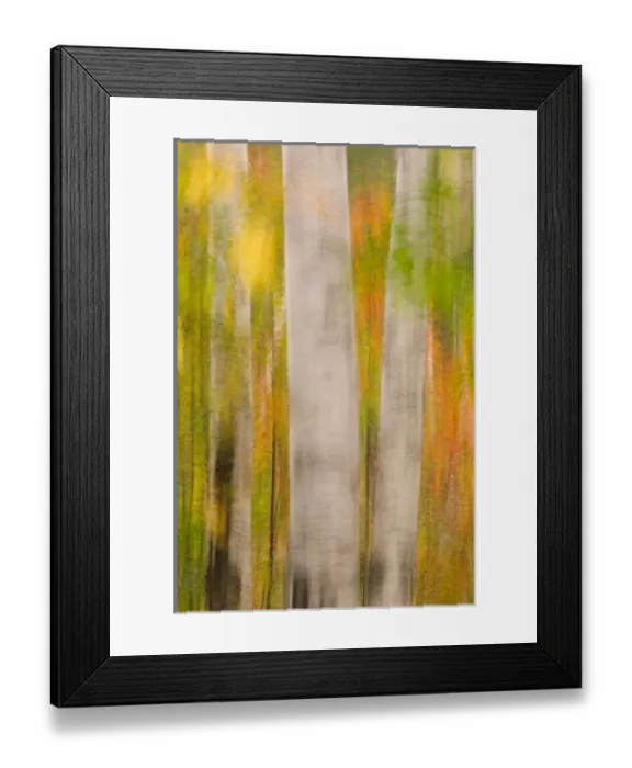 Framed Print : USA, North America, New Hampshire