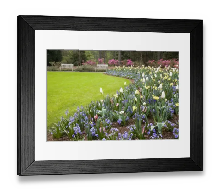 Framed Print : USA, North America, Georgia Framed Print : USA, North America, Georgia