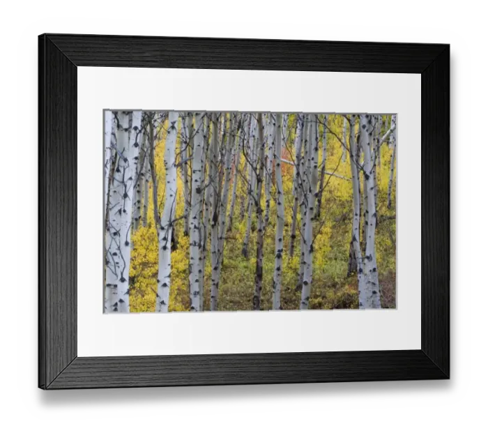 Framed Print : USA, North America, Montana Framed Print : USA, North America, Montana