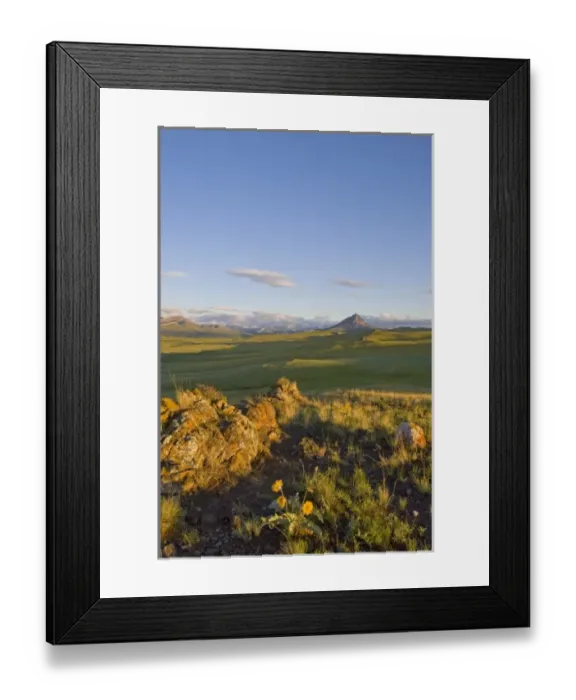Framed Print : Colorful Reef outcropping with Haystack Butte on the Rocky Mountain Front of Montana Framed Print : Colorful Reef outcropping with Haystack Butte on the Rocky Mountain Front of Montana