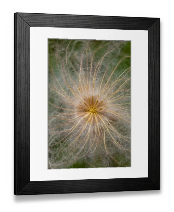 Framed Print : USA, North America, Montana Framed Print : USA, North America, Montana