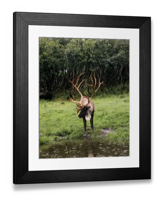 Framed Print : USA, North America, Montana Framed Print : USA, North America, Montana
