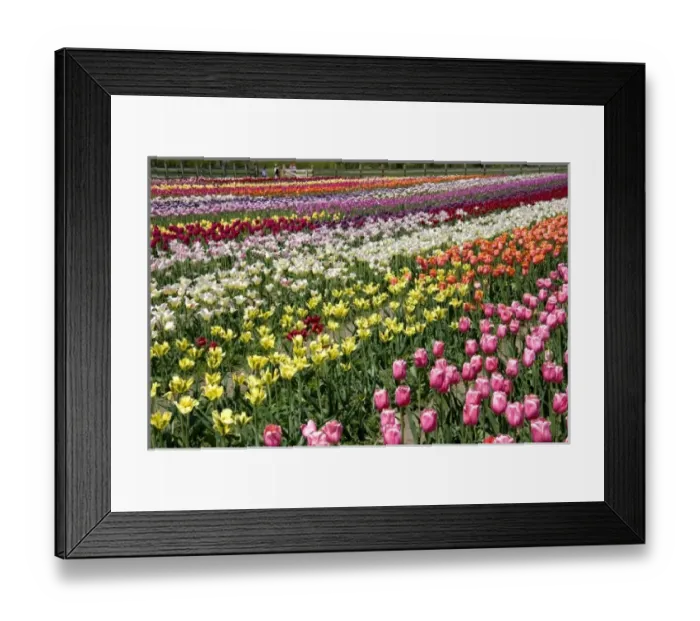 Framed Print : USA, North America, Michigan Framed Print : USA, North America, Michigan