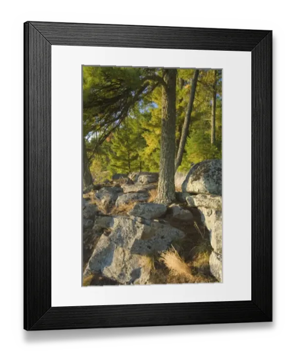 Framed Print : USA, North America, Minnesota Framed Print : USA, North America, Minnesota