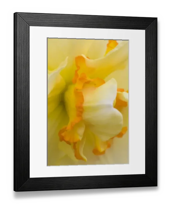 Framed Print : USA, North America, Georgia