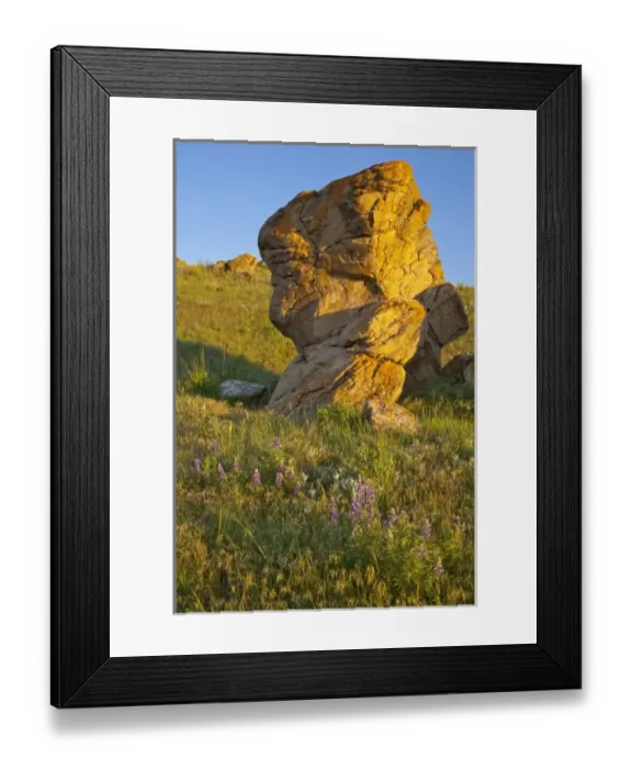 Framed Print : USA, North America, Montana Framed Print : USA, North America, Montana