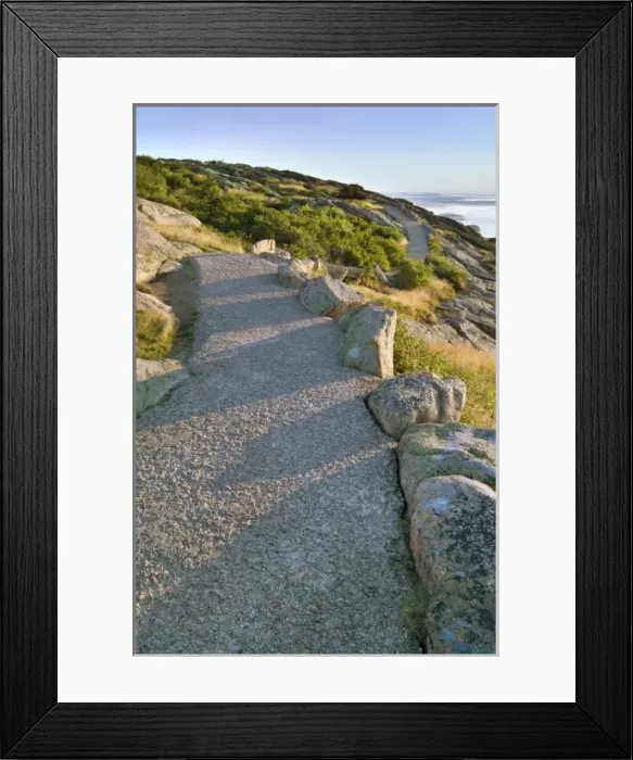Framed Print : Acadia National Park, Maine, USA. Trail atop Cadillac Mountain Framed Print : Acadia National Park, Maine, USA. Trail atop Cadillac Mountain