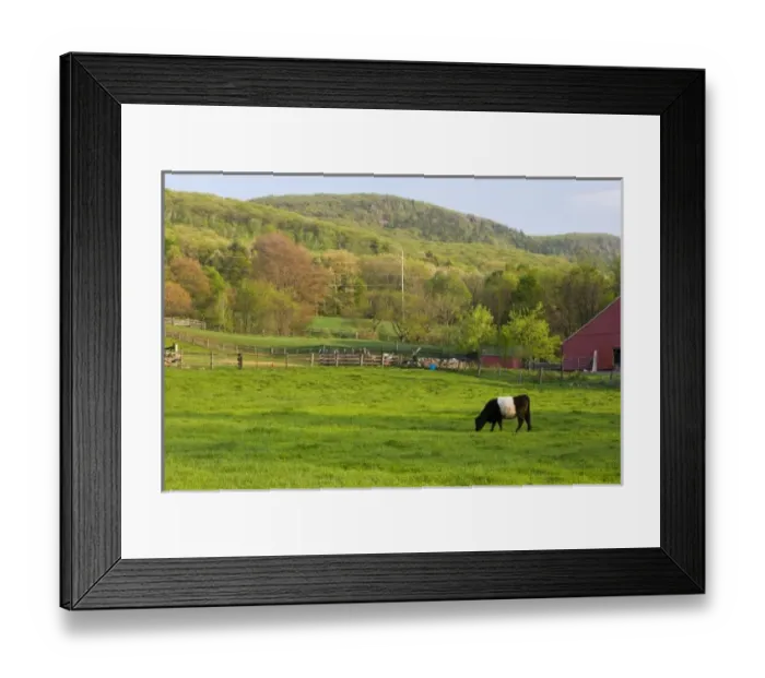 Framed Print : USA, North America, Massachusetts