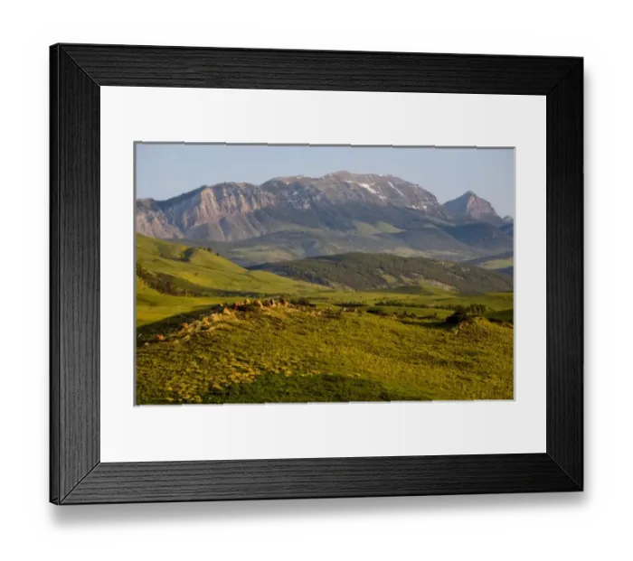 Framed Print : Green grasslands and Choteau Mountain on the Rocky Mountain Front of Montana Framed Print : Green grasslands and Choteau Mountain on the Rocky Mountain Front of Montana