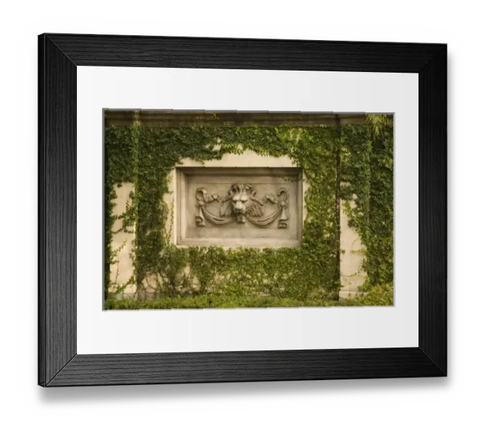Framed Print : USA, North America, Georgia Framed Print : USA, North America, Georgia
