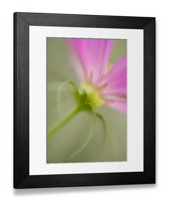Framed Print : USA, North America, Maine
