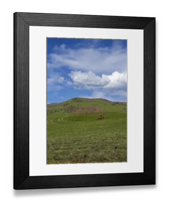 Framed Print : Swather harvesting hay near Horseshoe Bend, Idaho, USA