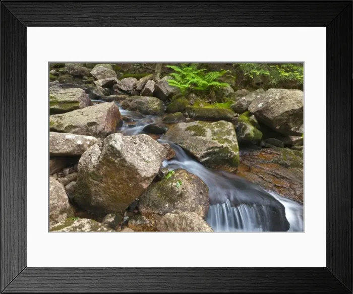 Framed Print : Jordan Stream in Acadia National Park, Maine, USA