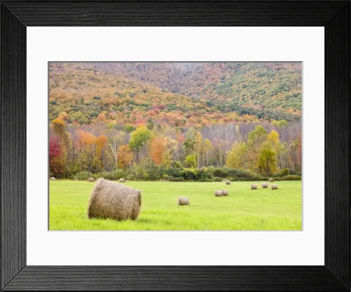 Framed Print : Unknown Framed Print : Unknown