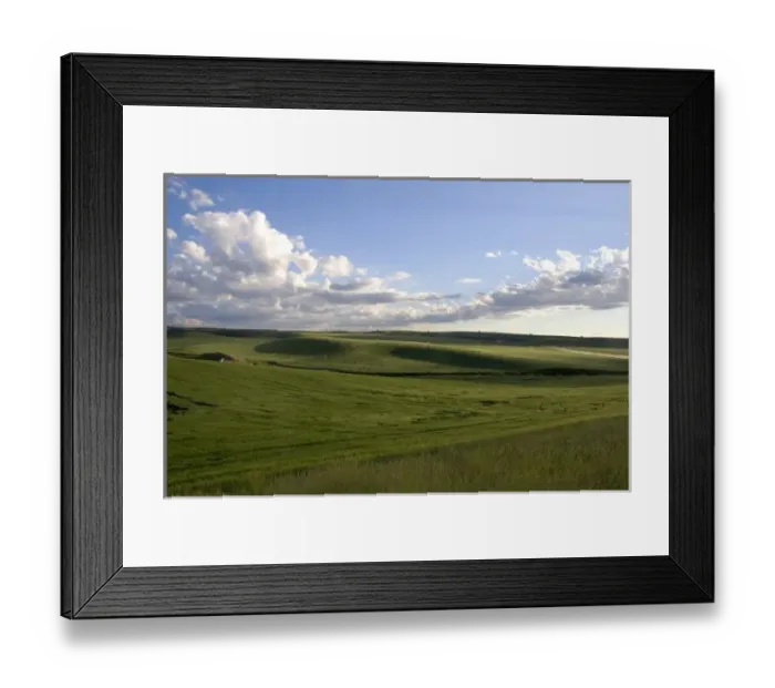 Framed Print : A field of barley grain in the Fremont / Teton county area of eastern Idaho Framed Print : A field of barley grain in the Fremont / Teton county area of eastern Idaho