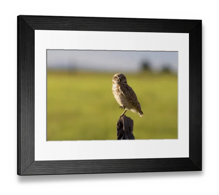 Framed Print : USA, North America, Idaho
