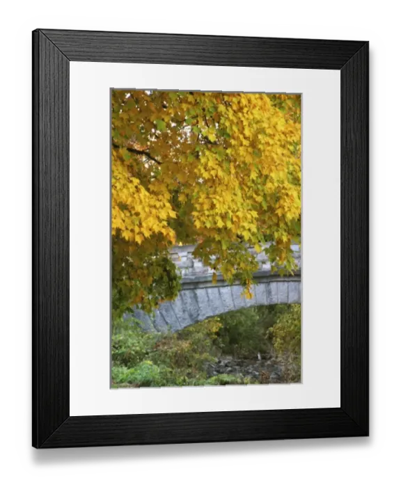 Framed Print : USA, North America, Indiana Framed Print : USA, North America, Indiana