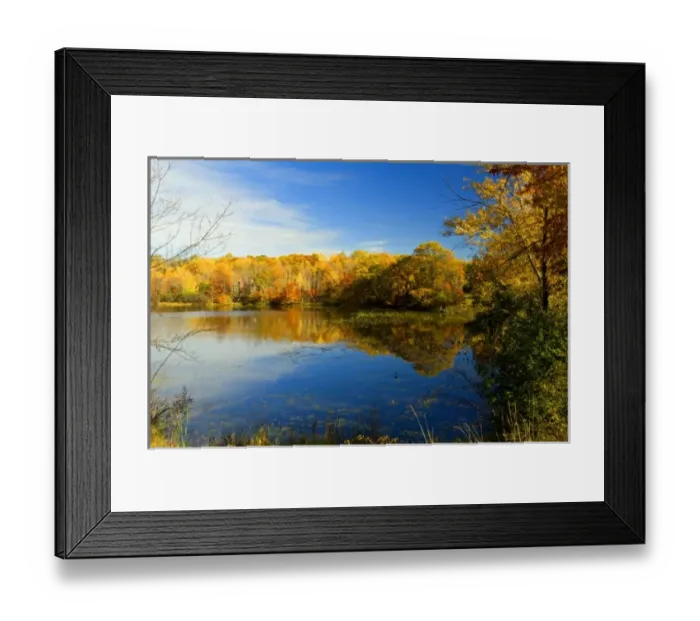 Framed Print : United States, State of Minnesota. Fall color