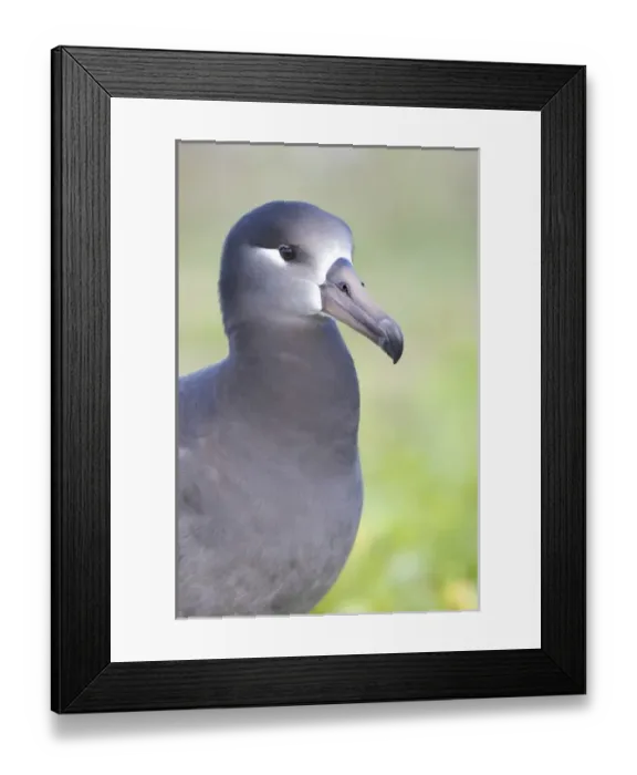 Framed Print : USA, North America, Hawaii