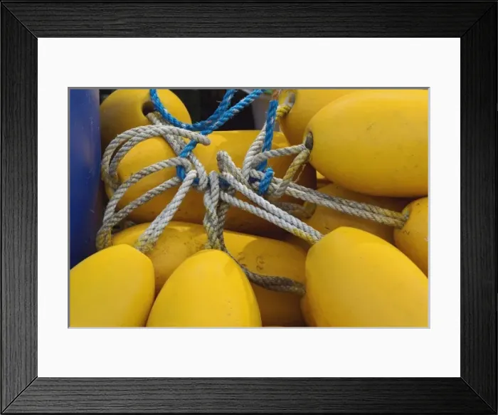 Framed Print : USA, North America, Maine Framed Print : USA, North America, Maine