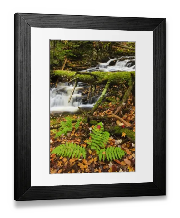 Framed Print : USA, North America, Maine