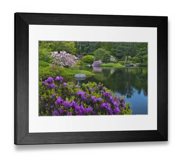 Framed Print : USA, Maine, Northeast Harbor. View of Asticou Azalea Gardens
