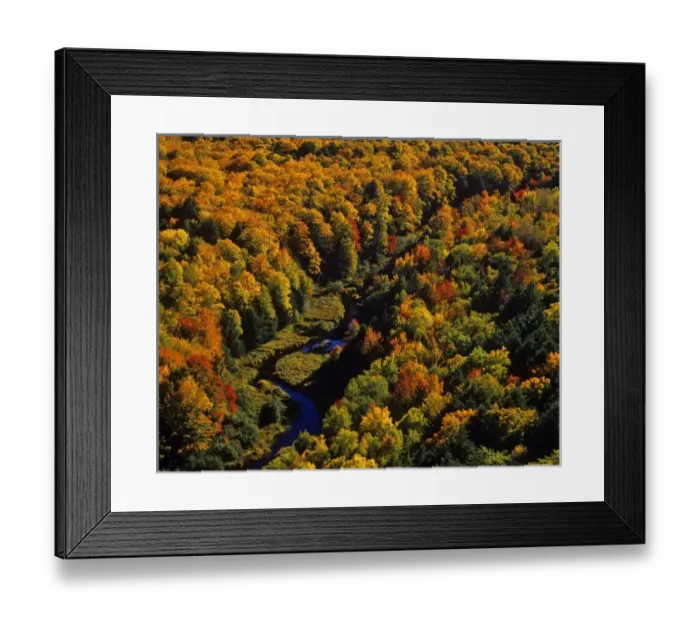 Framed Print : The Big Carp River in autumn at Porcupine Mountains State Park, Michigan, USA Framed Print : The Big Carp River in autumn at Porcupine Mountains State Park, Michigan, USA