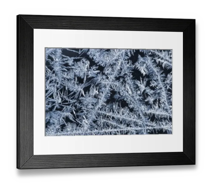 Framed Print : USA, Maine, Harpswell. Lacy ice patterns on a winter window Framed Print : USA, Maine, Harpswell. Lacy ice patterns on a winter window